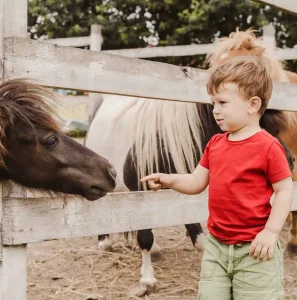 Canva-Toddler-boy-pointing-his-finger-at-pony-horse-scaled