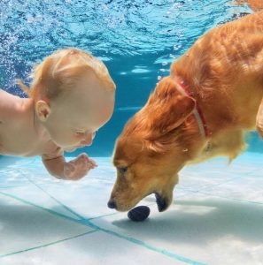 Kids-and-animal-sounds